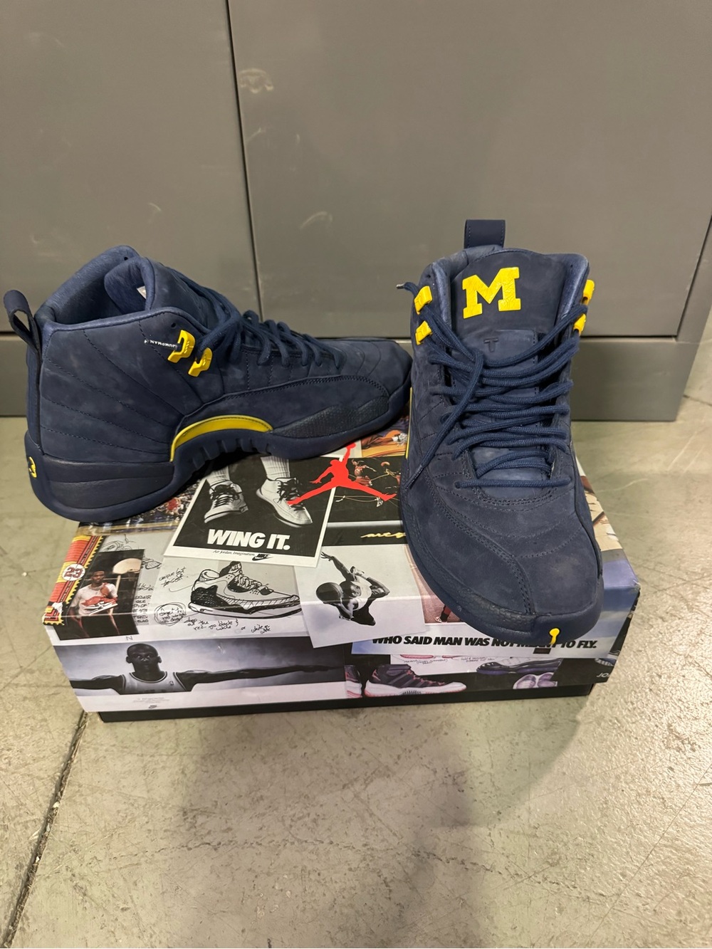 Jordan 12 Retro PSNY Michagin